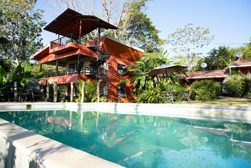 Гостиница Jungle Lodge at Wild Sun Rescue