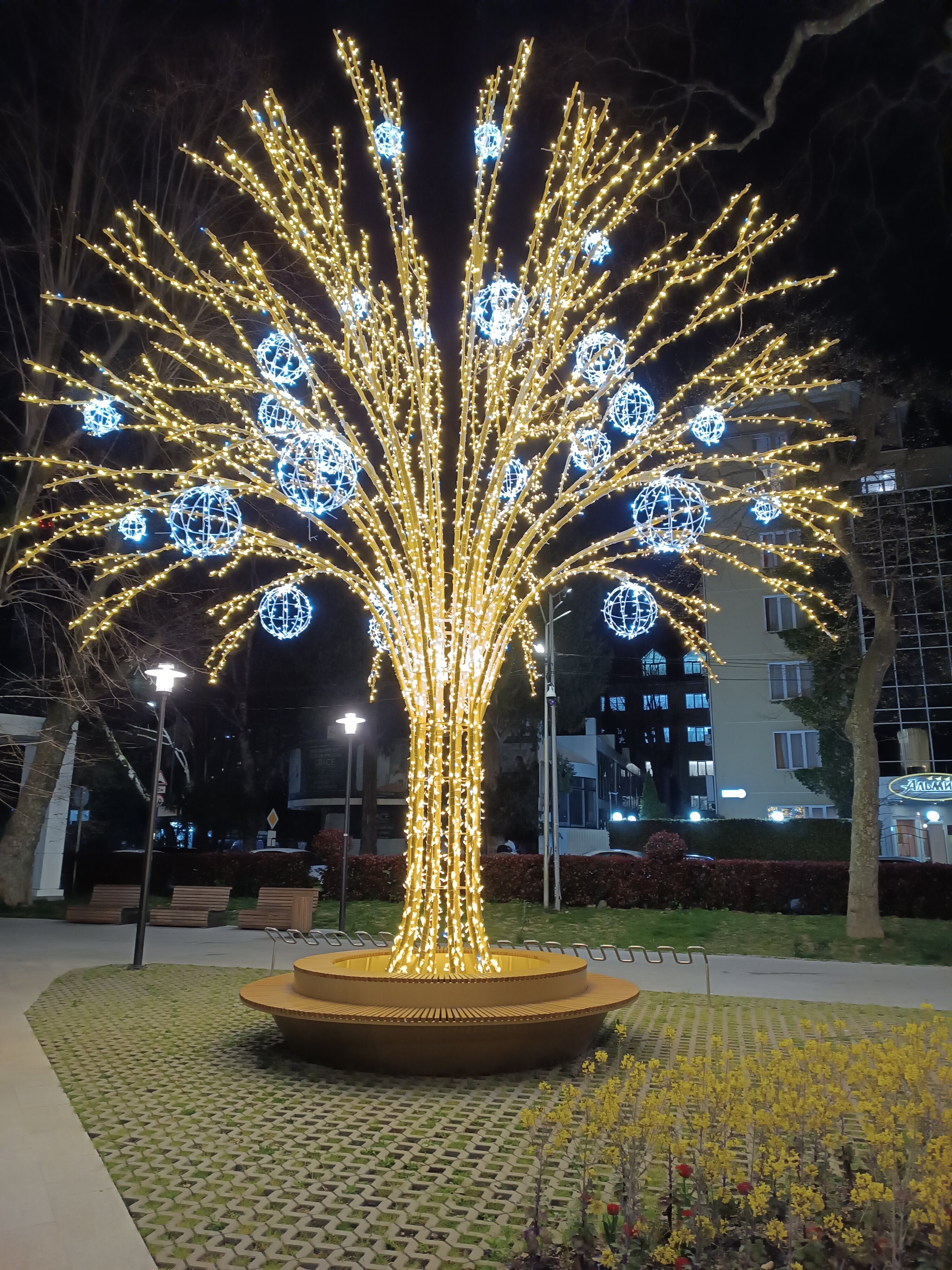 Фото Альмира