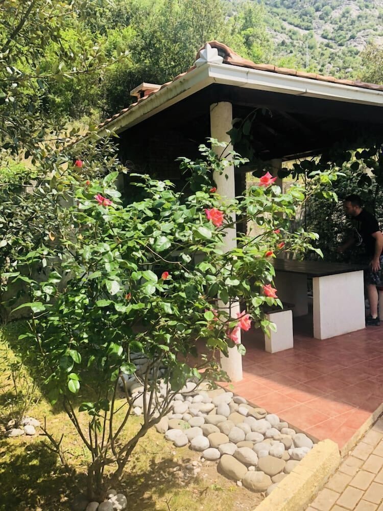 Фото Green Village Kotor