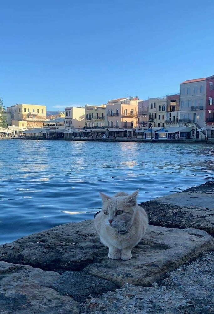 Фото Porto Chania