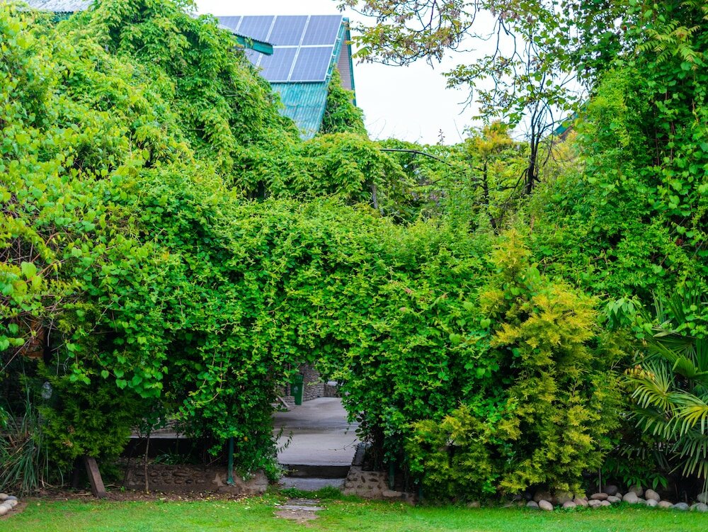 Фото Hotel Mirage