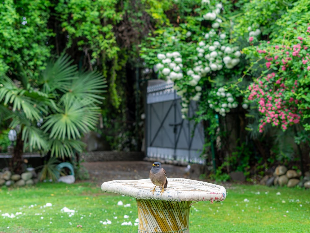 Фото Hotel Mirage