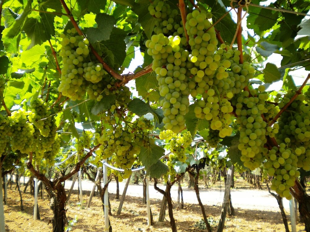 Фото Villaggio San Giovanni