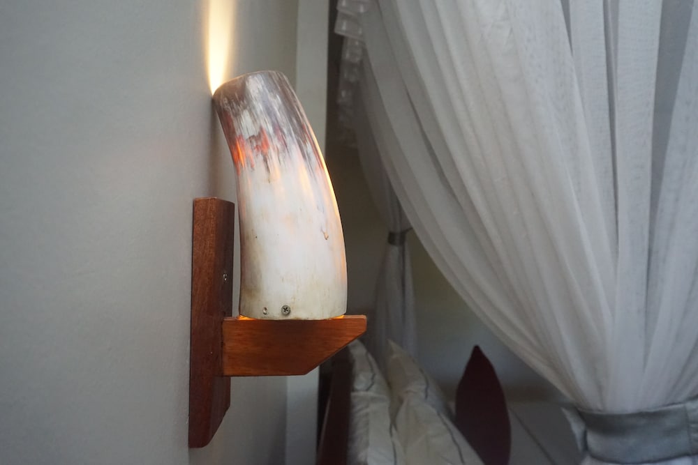 Фото African Roots Gulu