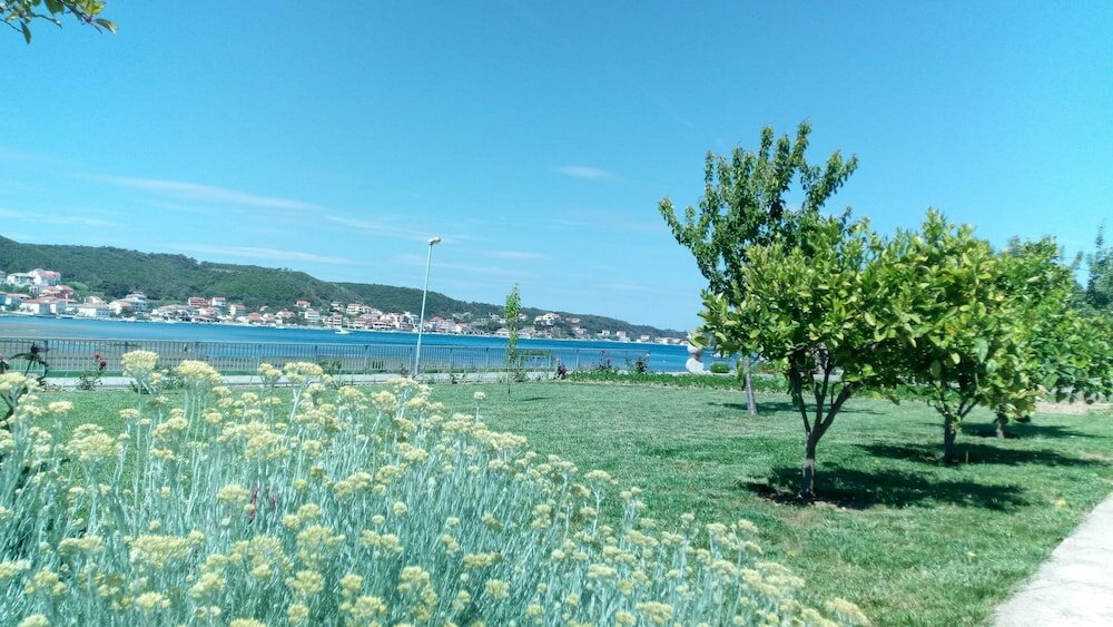 Фото Apartments and Rooms Viskic