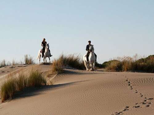 Гостиница Camping Abri de Camargue в Ле-Гро-дю-Руа