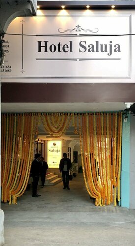 Гостиница Hotel Saluja