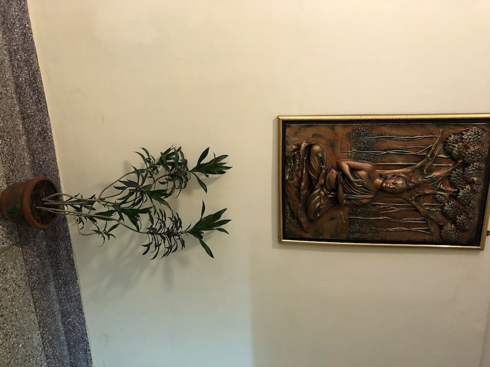 Фото Hotel Saluja