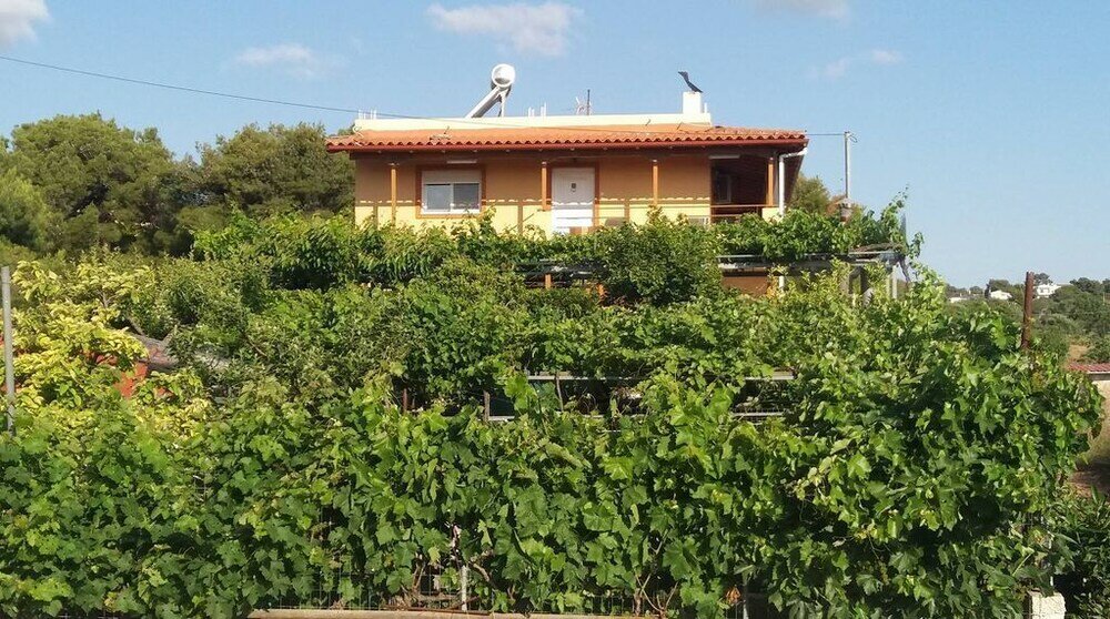 Фото Villa near Athens Airport & Rafina