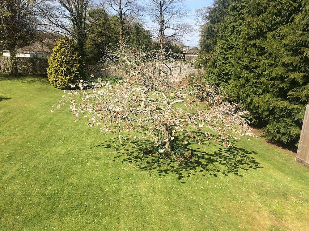 Фото The Lowenac Hotel