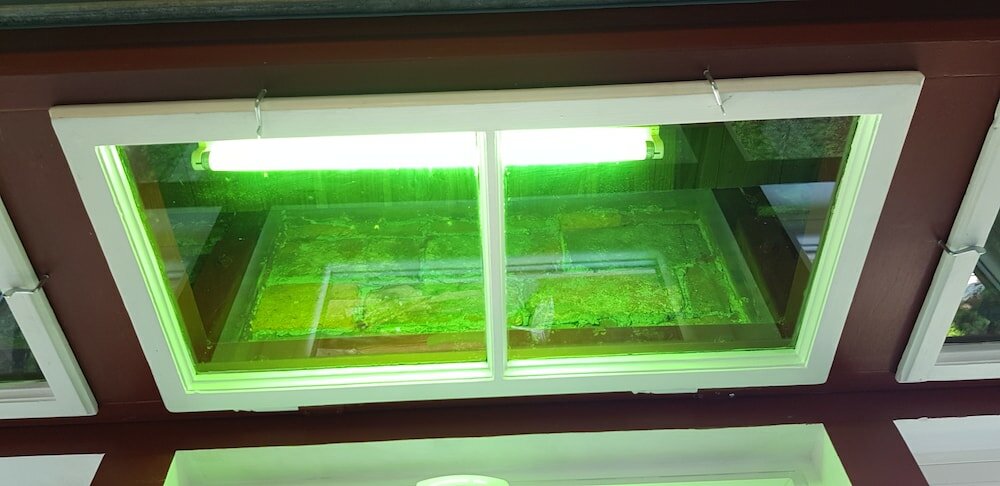 Фото Villa Coola