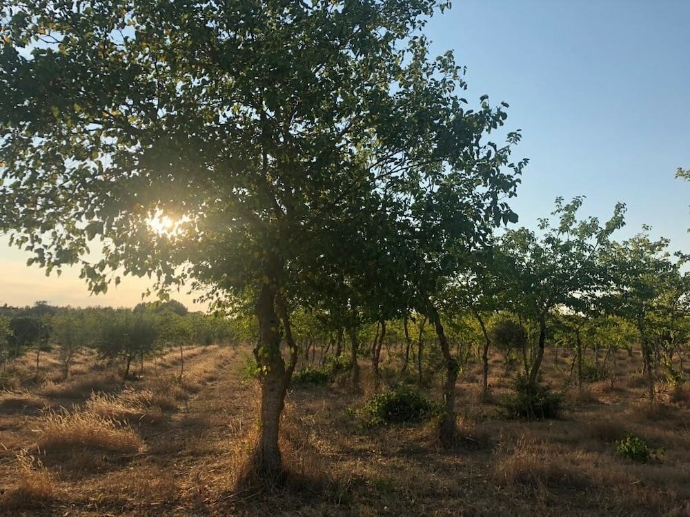Фото Antica Masseria Jorche