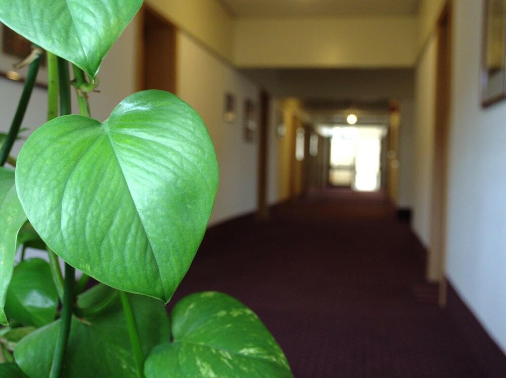 Фото Hotel Im Park