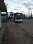 Станция Голицыно (Golitsyno, Banny pereulok, 5А), public transport stop