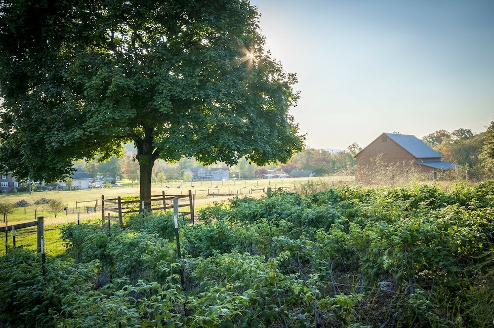 Фото Frush Farm Bed & Breakfast