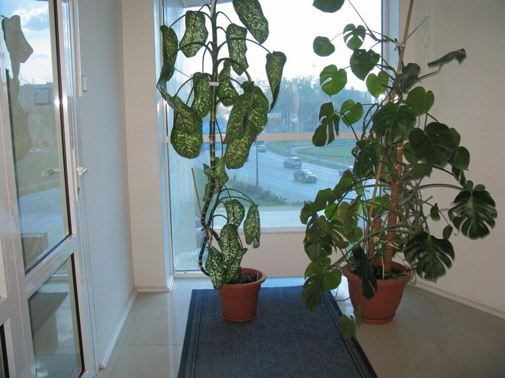 Фото Парк Виста