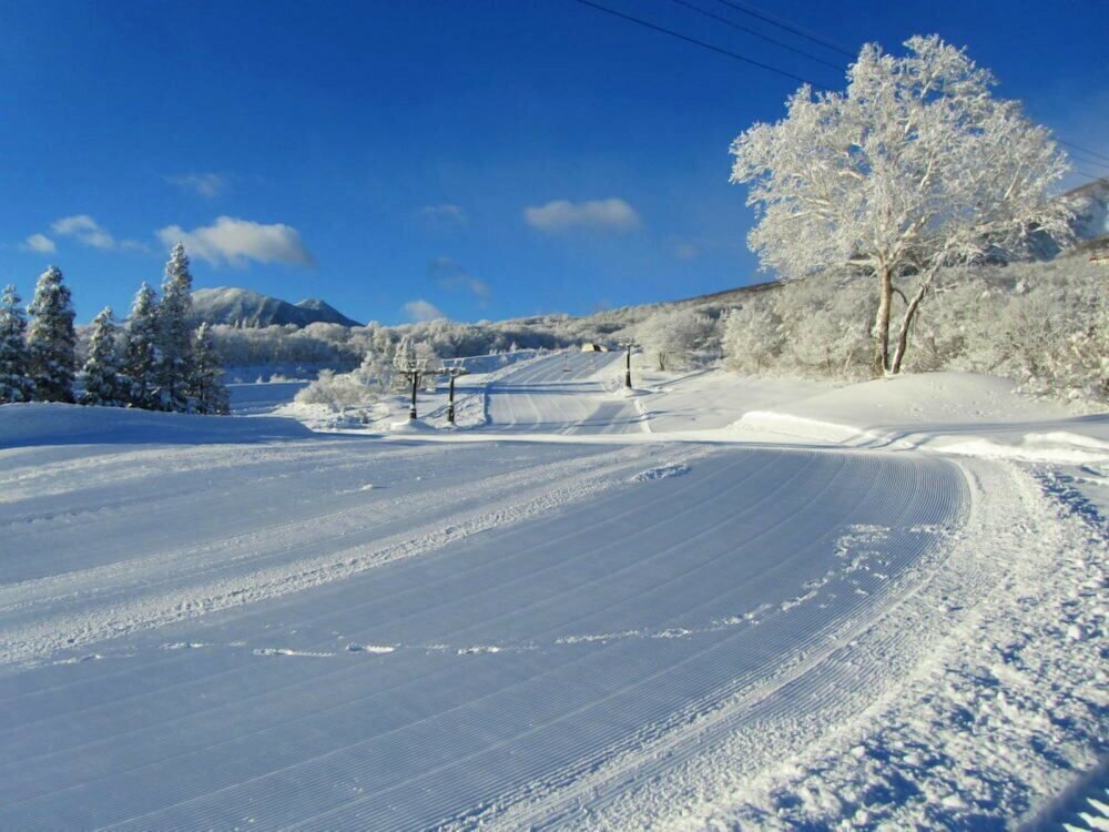 Фото Villa Mon Repos