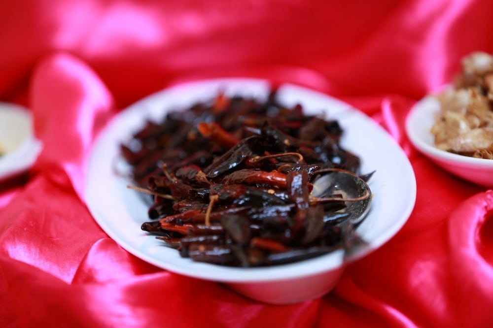 Фото The Grand Sri Lanka