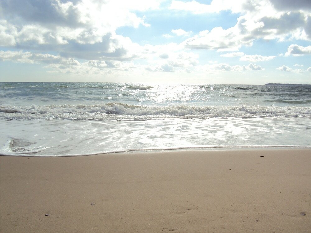 Фото Sun City Apartments