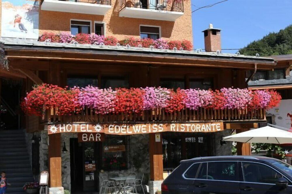 Фото Hotel Edelweiss
