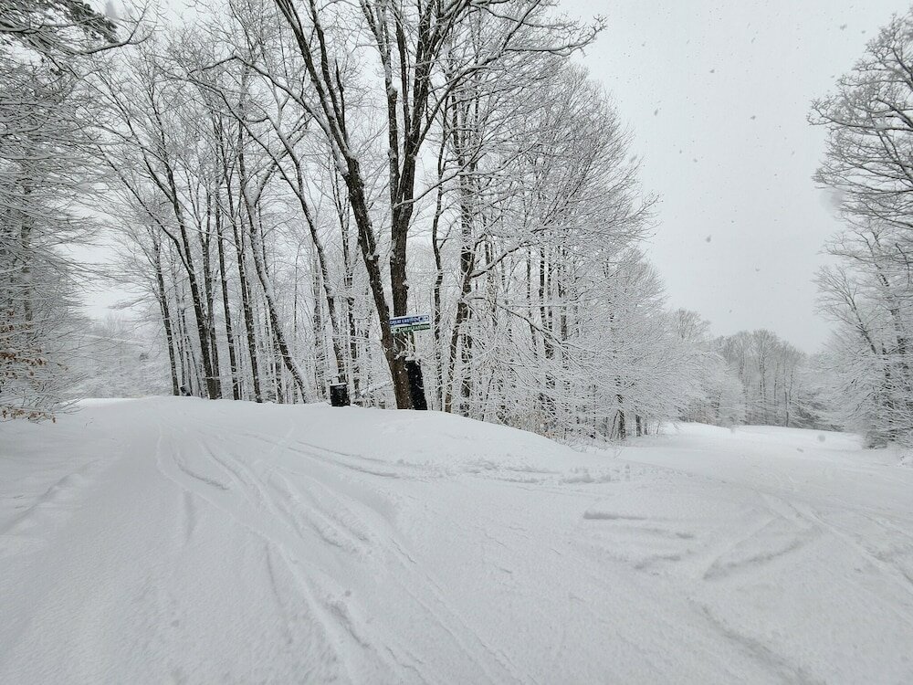 Фото Ski in & out Spruce Glen Townhomes on Great Eastern Trail