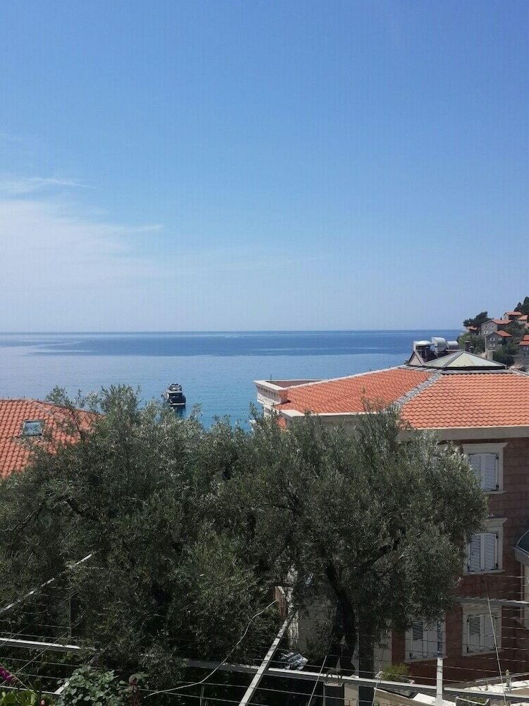 Фото Apartments Andjus