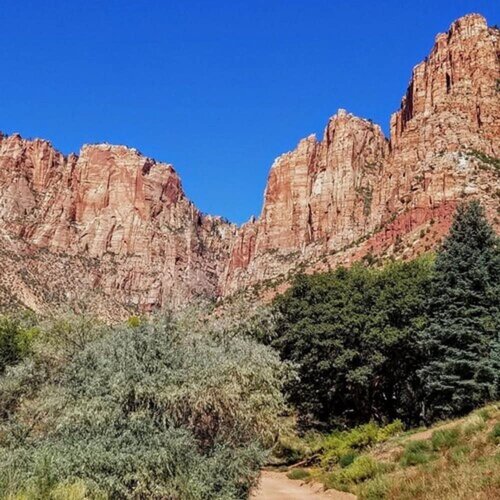 Гостиница Zion's Cozy Cabins
