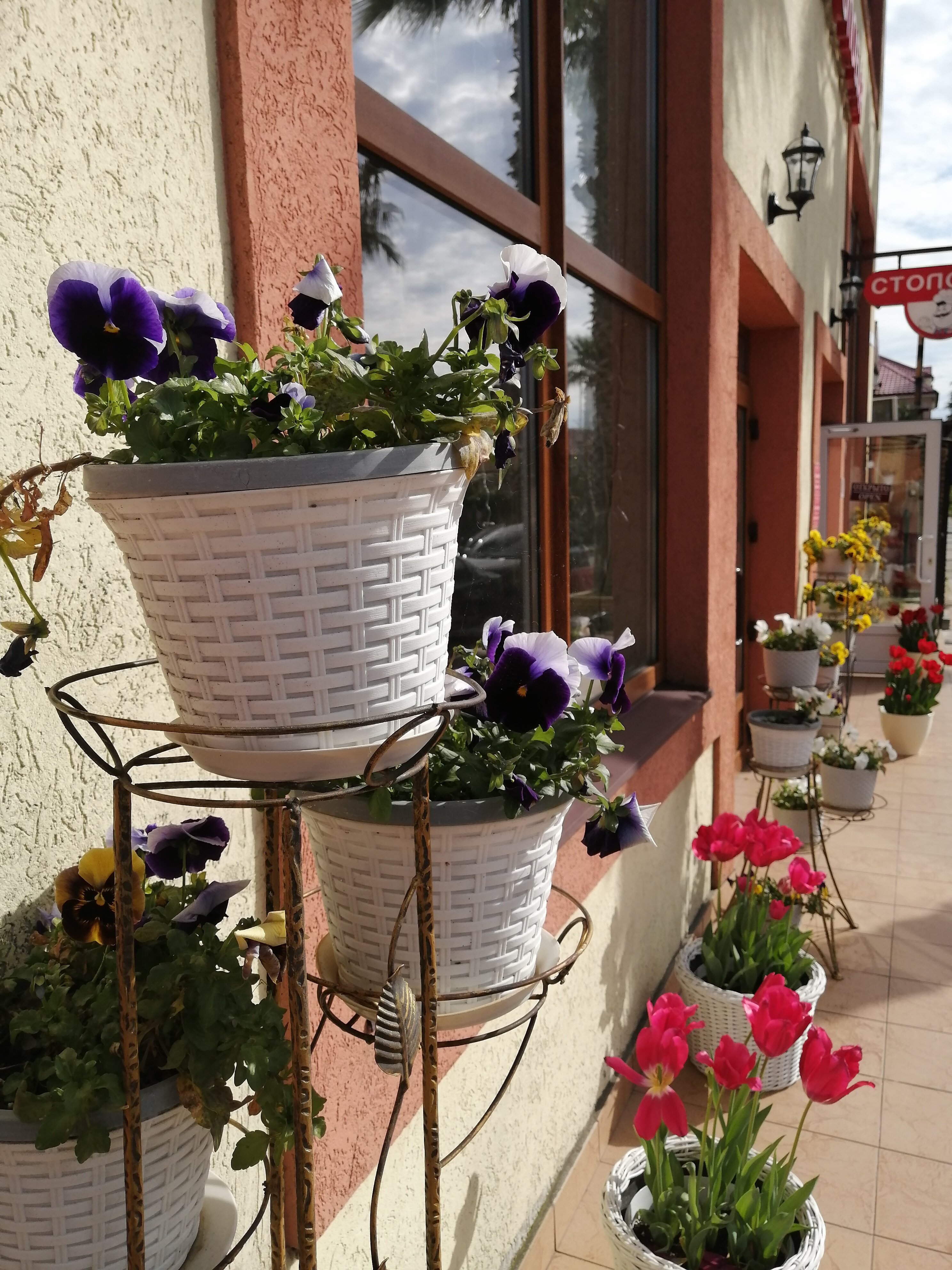 Фото Долина