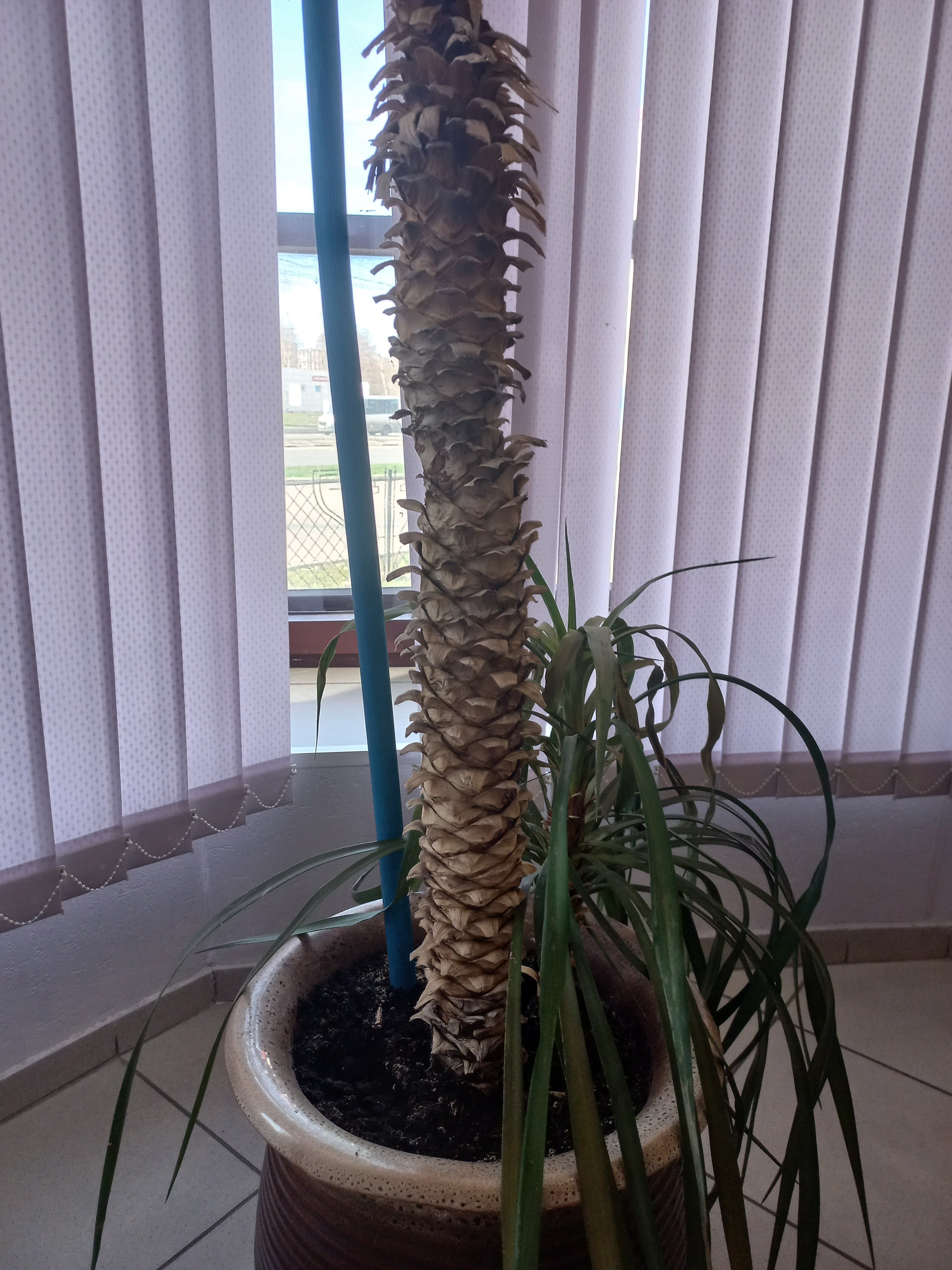 Фото Европа