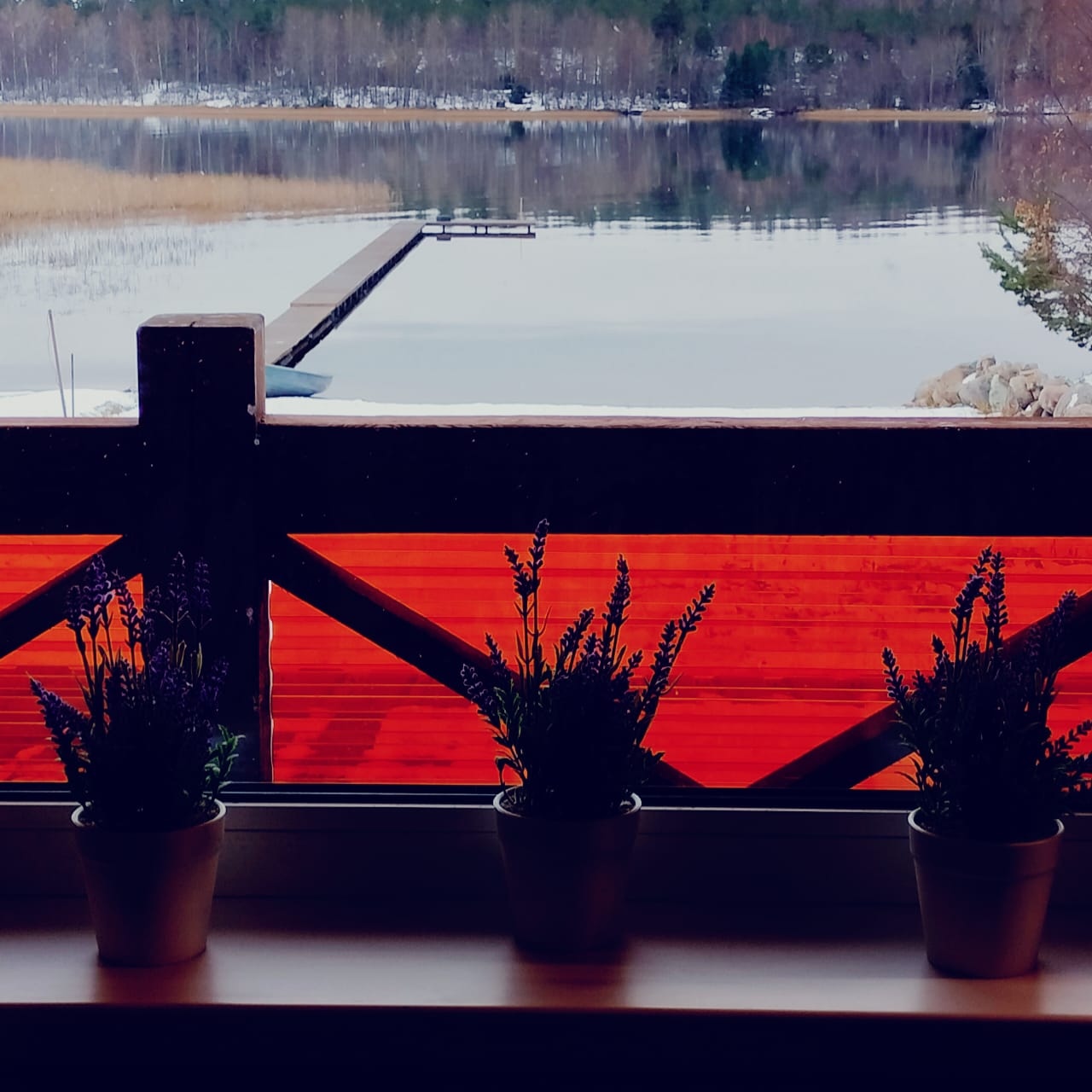 Фото Лахта&Ярви