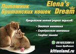 Elena's Dream (Новогиреевская ул., 32, Москва), питомник животных в Москве