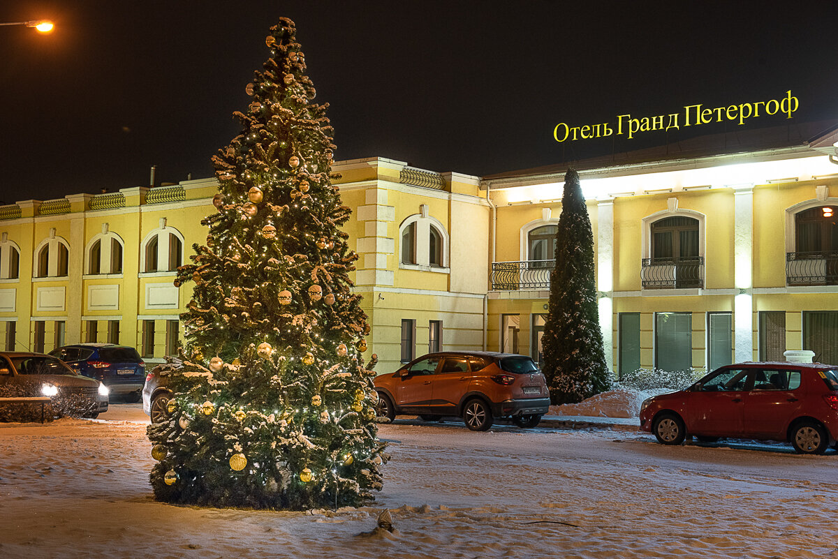 Фото Гранд Петергоф