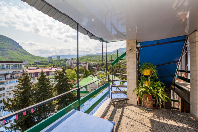 Фото Ласточка