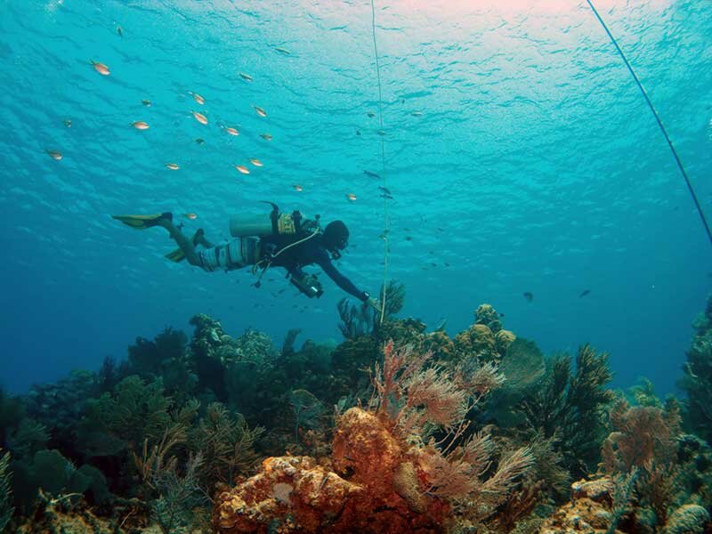 Travel agency Nemo Diving Center, Dubai, photo