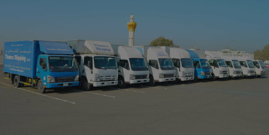 Freight forwarding Thames Shipping, Abu Dhabi, photo