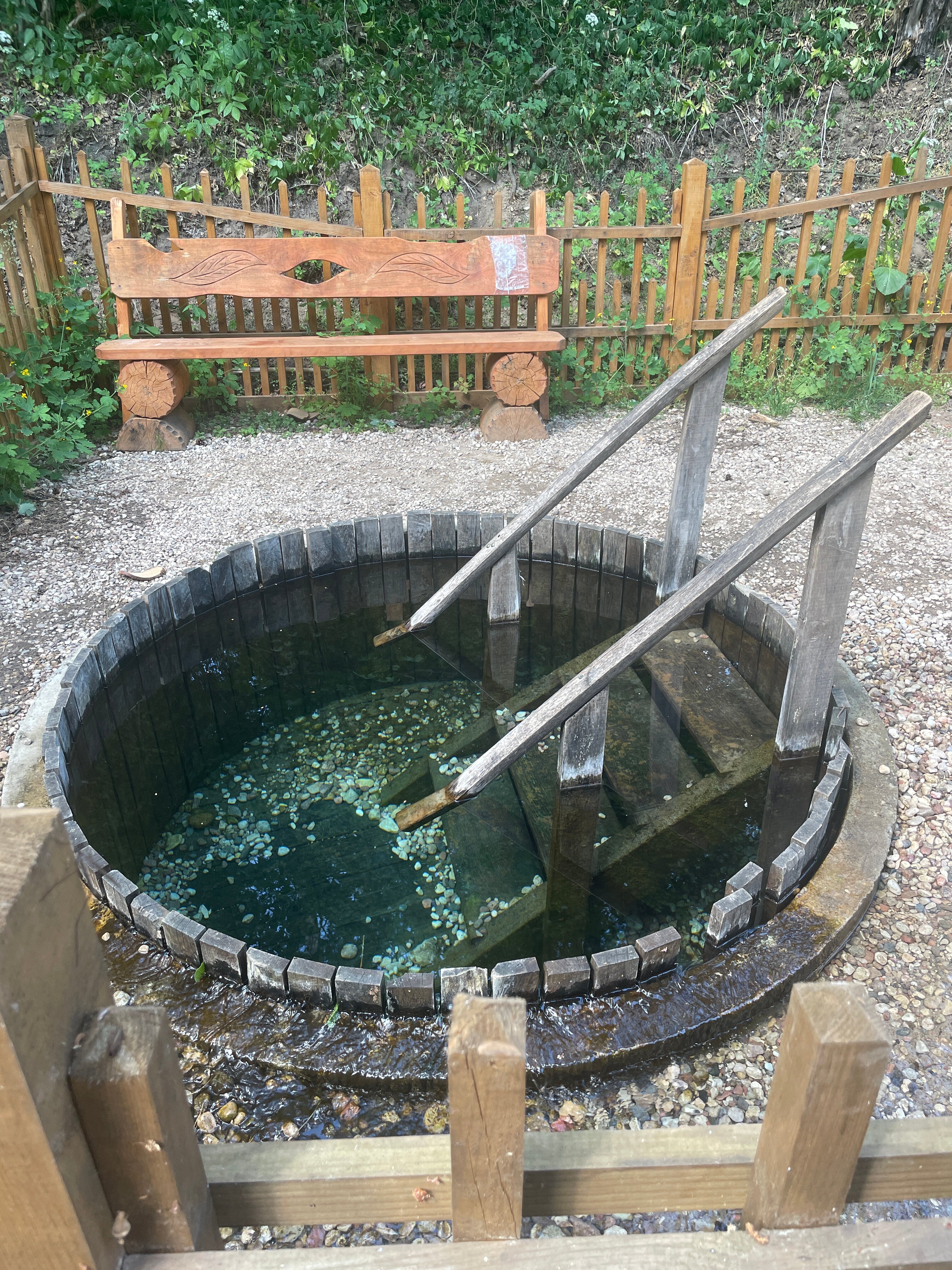 Фото Нарочанка