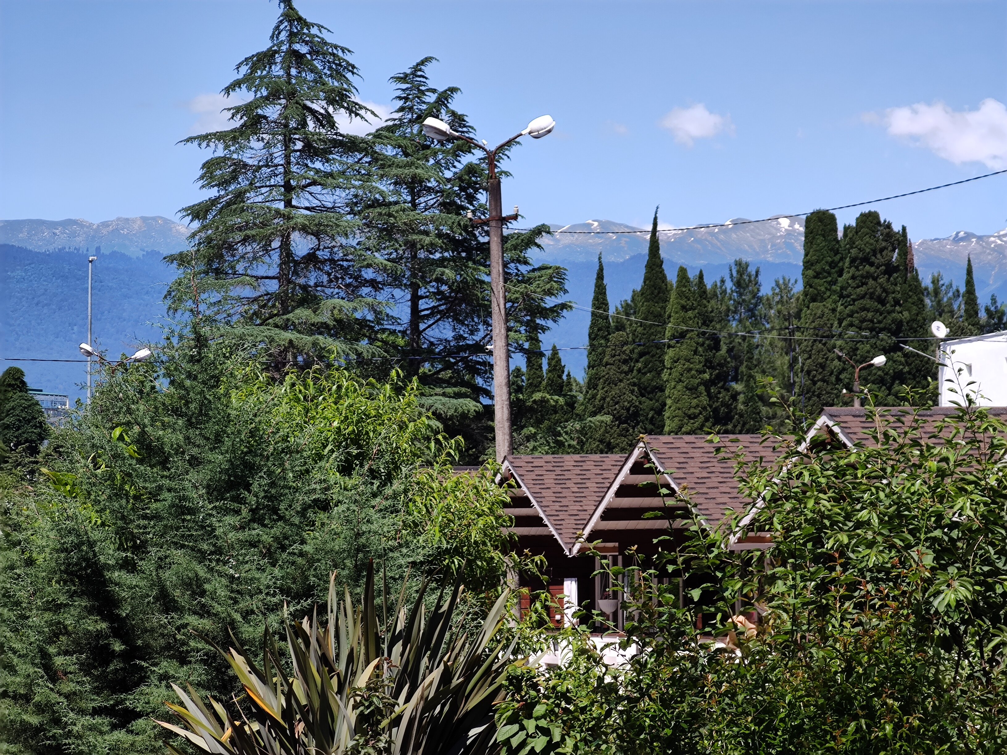 Фото Eco House Pitiunt