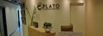 Plato Chiropractic Health Clinic (6/5, Turin Boulevard Road, Dubai Land, Dubai), medical center, clinic