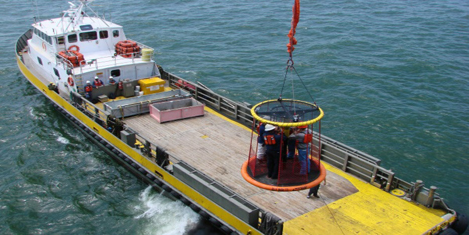 Engineering bureau Sea Safety Engineering Services, Abu Dhabi, photo