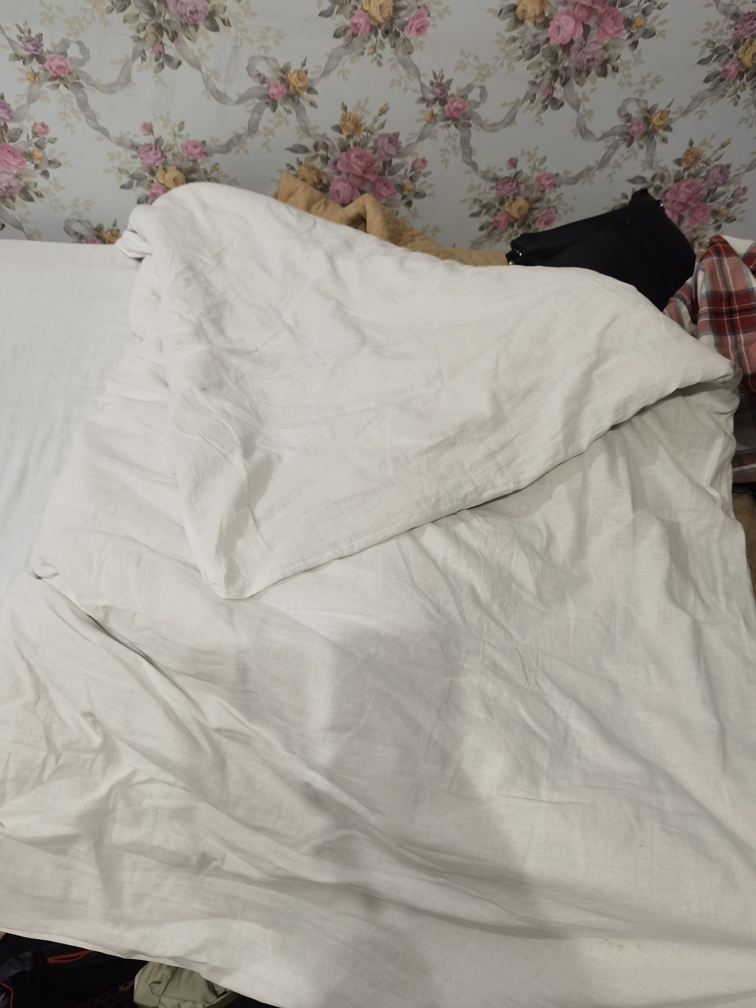 Фото Соломон Внуково