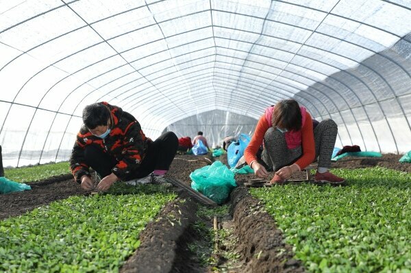 Food manufacturers Tate & Lyle, Dubai, photo