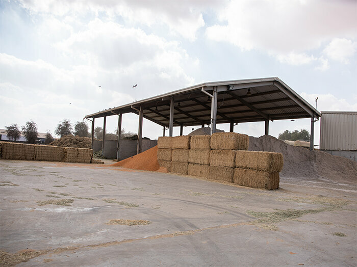 Food production facility Al Ain Farms, Emirate of Abu Dhabi, photo