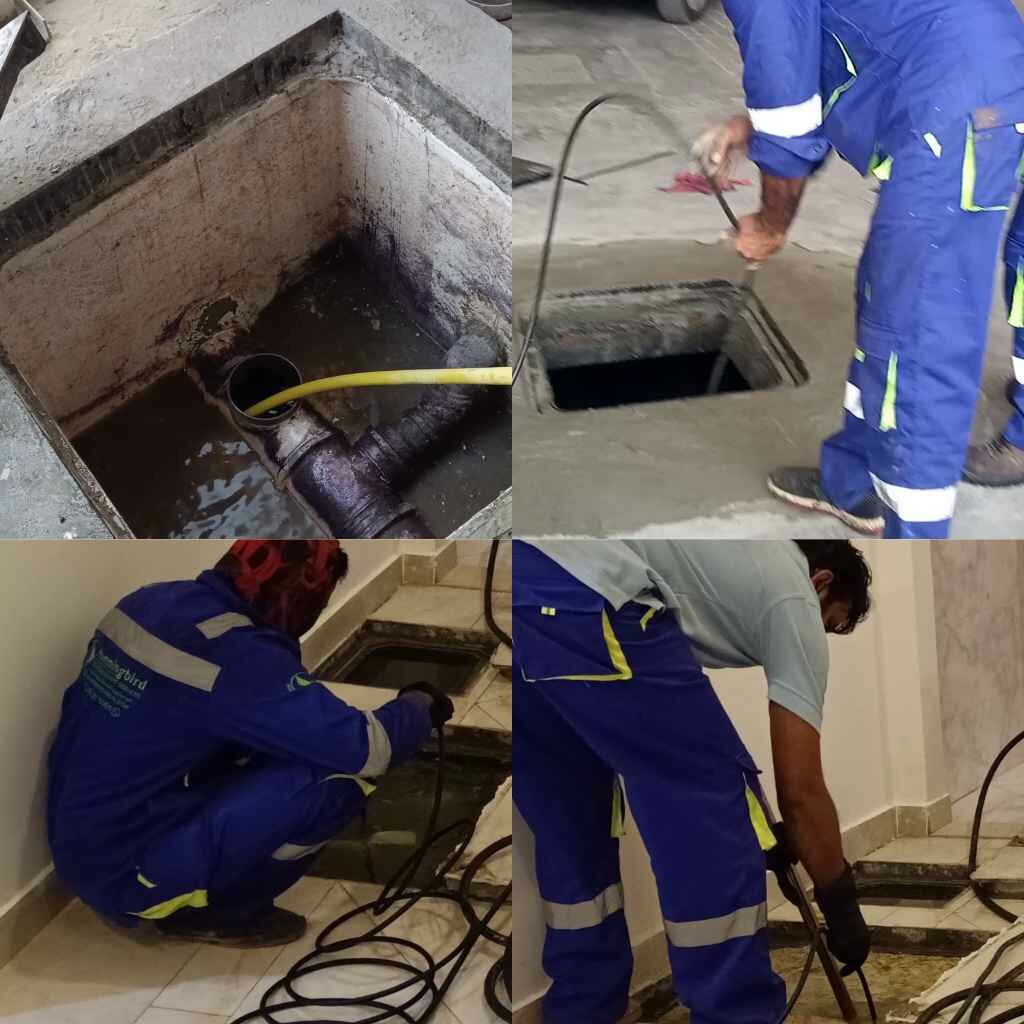 Cleaning services Hummingbird Technical & Cleaning Services, company, Dubai, photo