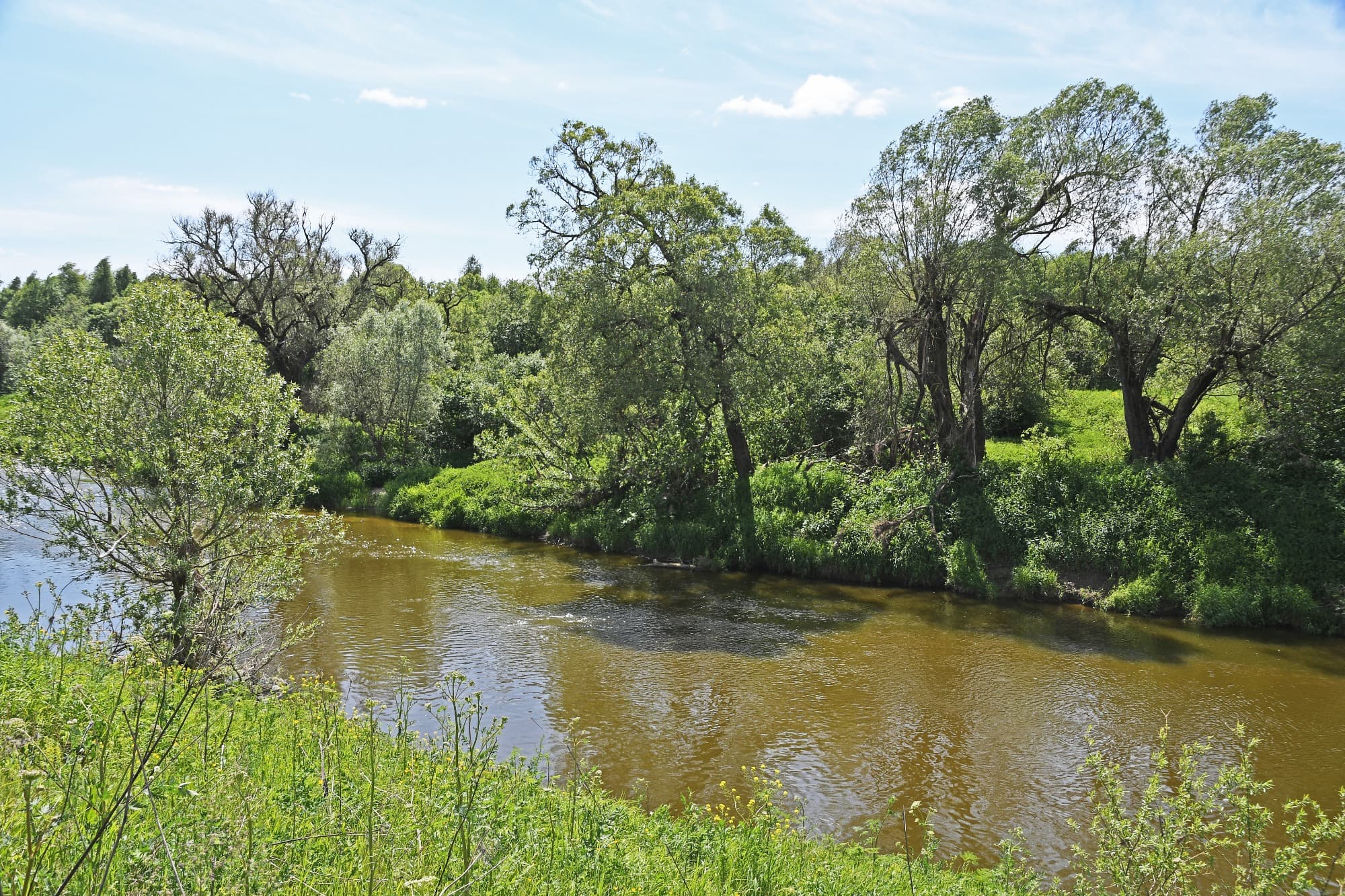 Фото Бунин Ручей