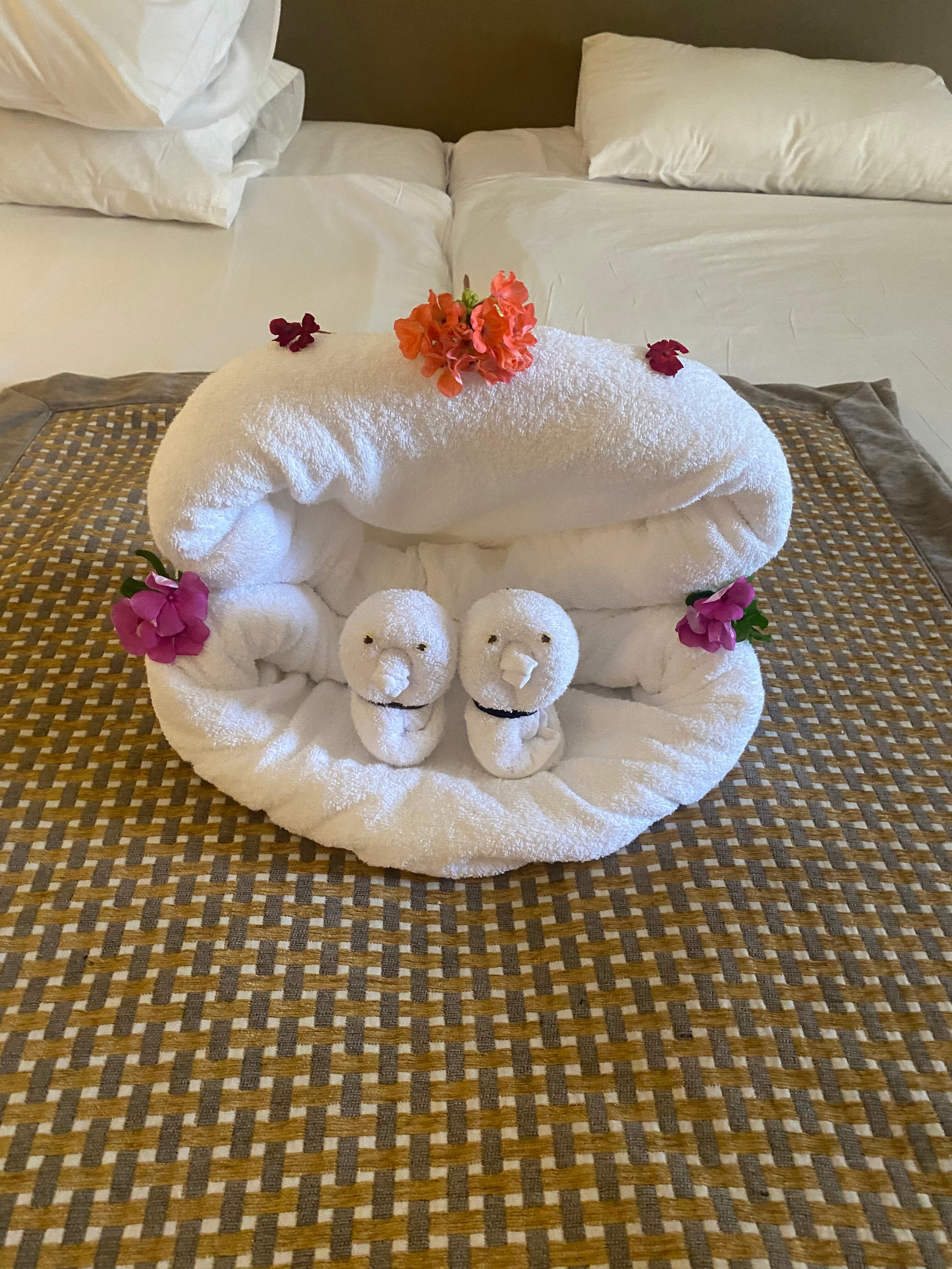 Фото Jaz Bluemarine