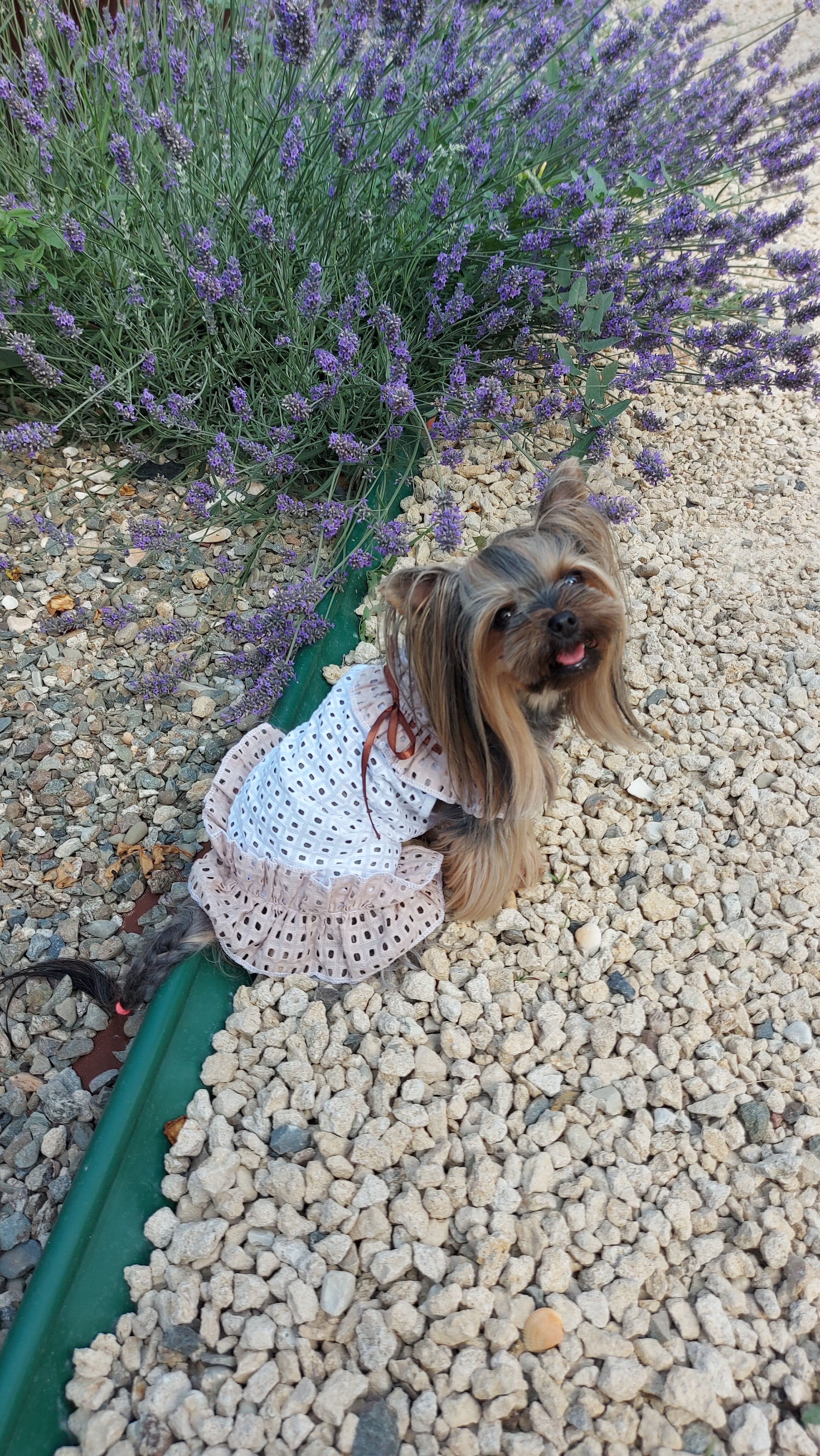 Фото Деревенька