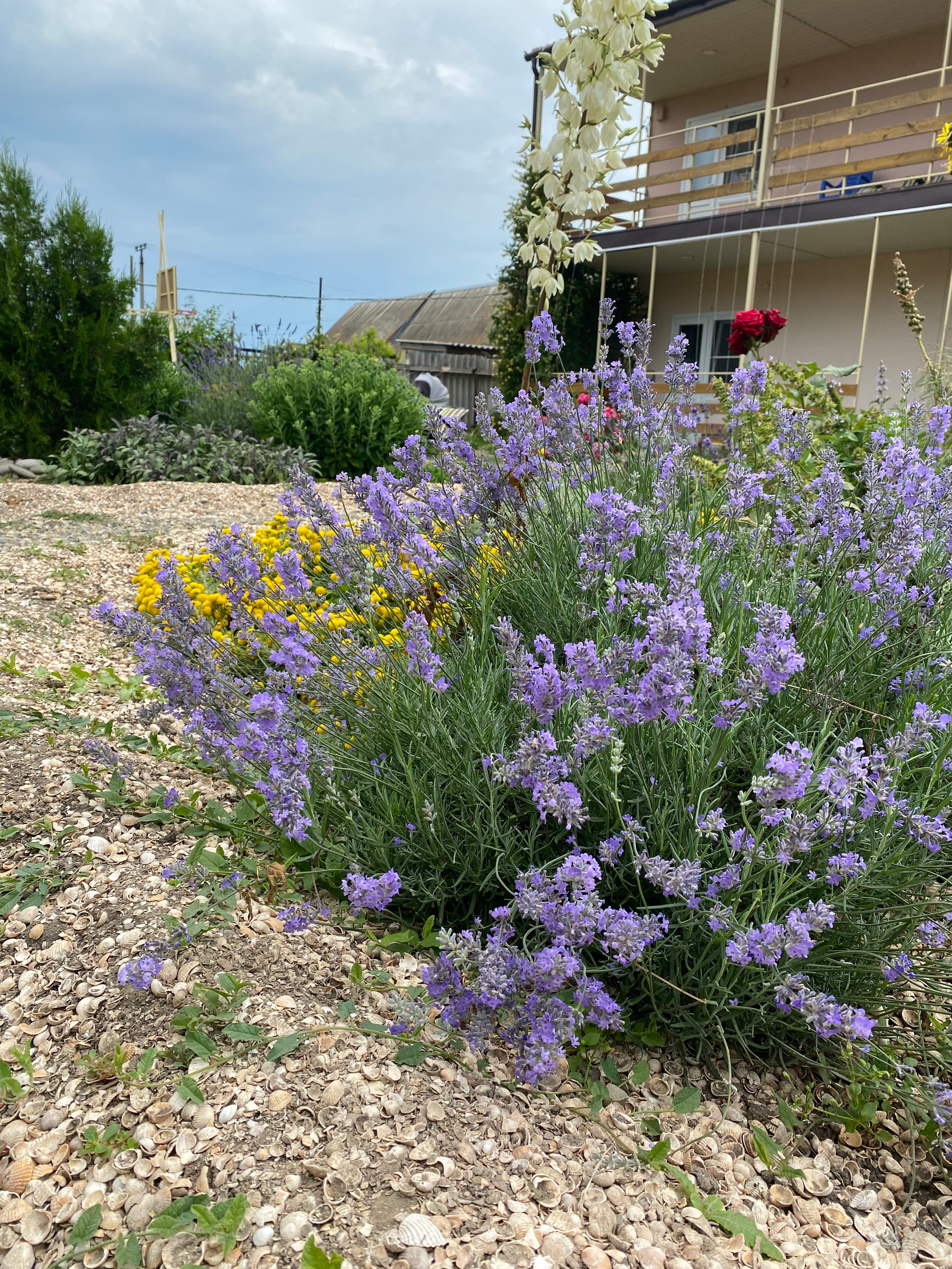 Фото Уфимочка