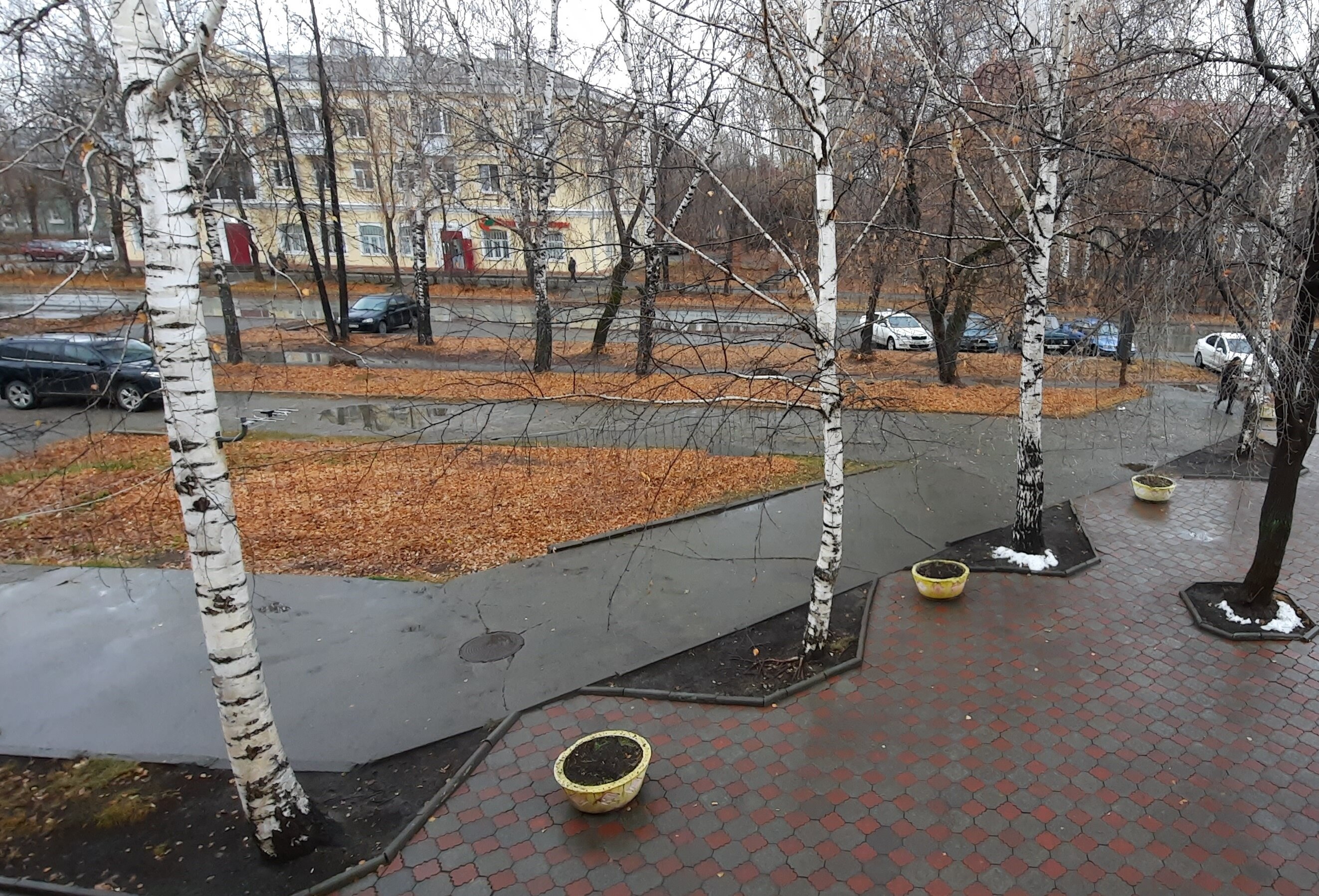 Фото Солнечный