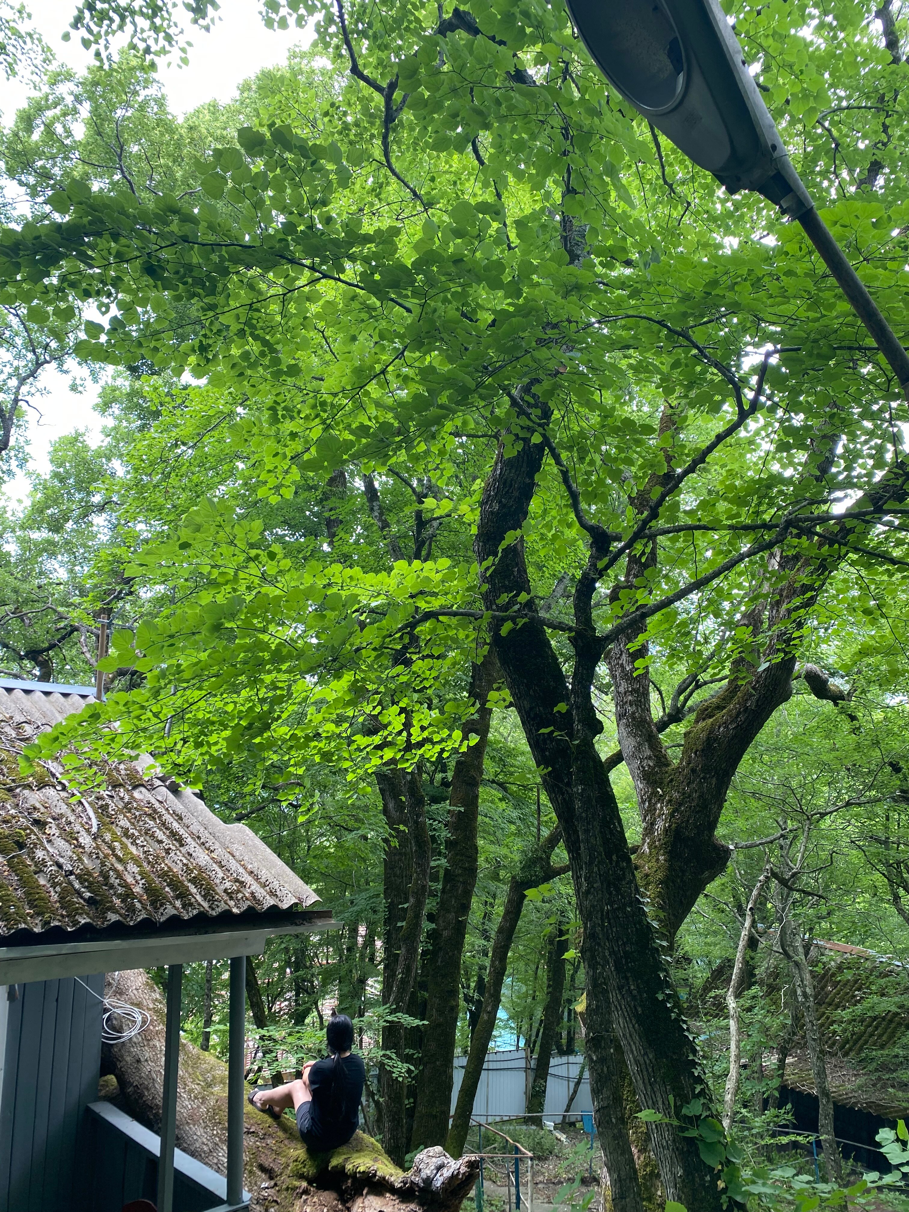 Фото Затерянный рай