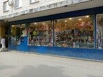 Detskiye igrushki i igry (Veteranov Avenue, 141к1), toys and games